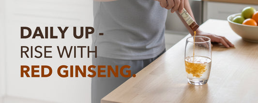 GINSENGin Premium Korean Red Ginseng Extract Sticks | Sugar-Free Energy & Focus | 6-Year Grown Panax Root | High Potency (10g x 10 Sticks)