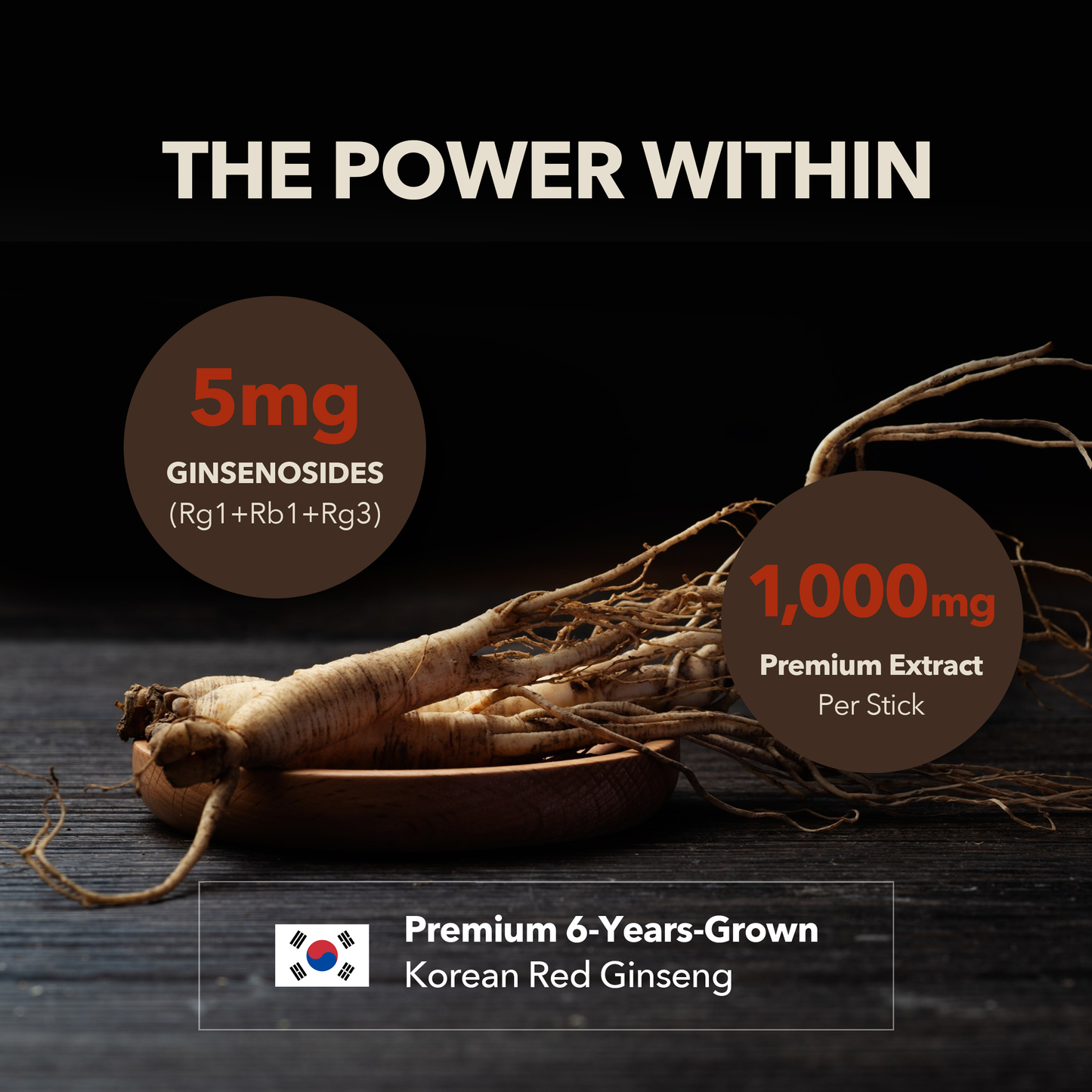 GINSENGin Premium Korean Red Ginseng Extract Sticks | Sugar-Free Energy & Focus | 6-Year Grown Panax Root | High Potency (10g x 30 Sticks)